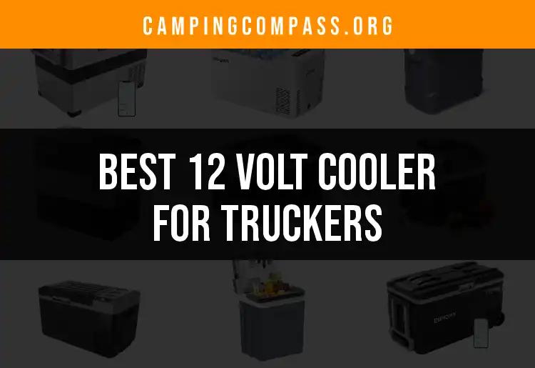 13 Best 12 Volt Coolers For Truckers On The Go