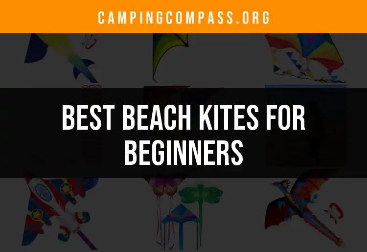 12 Beach Kites for Beginners to Elevate Your Fun