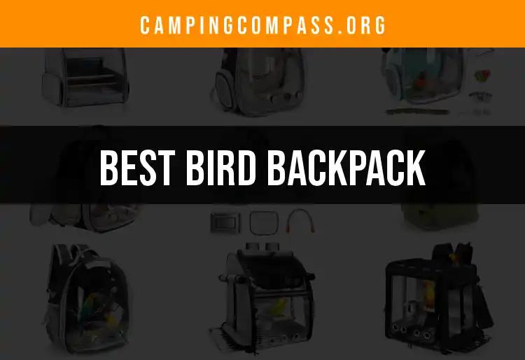 The Top 10 Bird Backpacks for Every Feathered Adventure