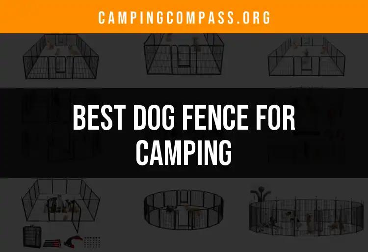 12 Best Dog Fences for Camping Adventures