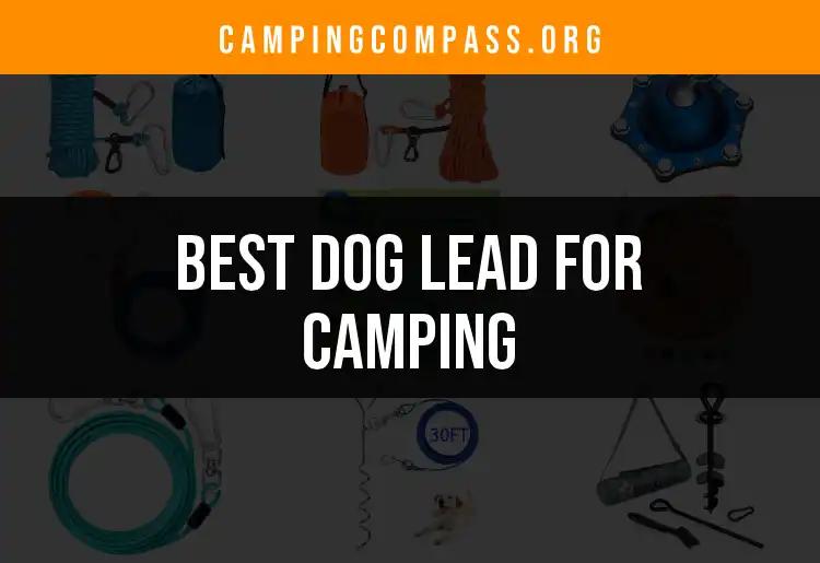 15 Best Dog Leads for Camping Adventures
