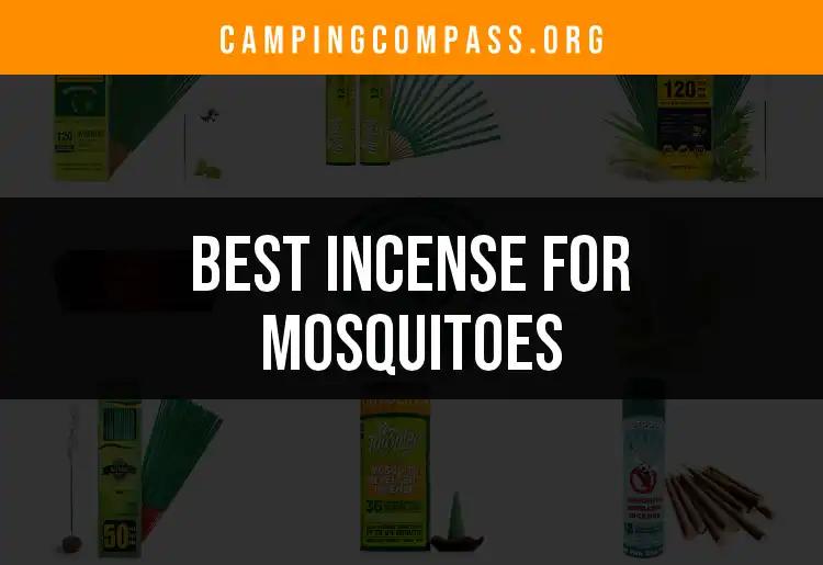 12 Best Incense for Mosquitoes to Keep Bugs at Bay