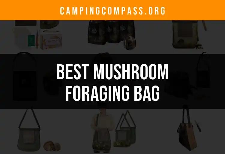 14 Top Mushroom Foraging Bags for Your Next Adventure
