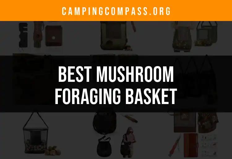 15 Best Mushroom Foraging Baskets for Every Adventure