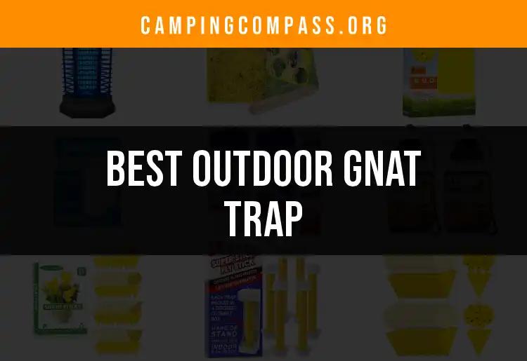 16 Outdoor Gnat Traps That Actually Work