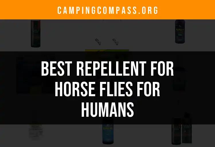 17 Best Repellents for Horse Flies for Humans