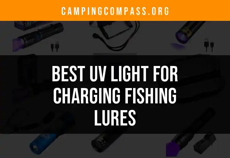 14 Best UV Lights for Charging Fishing Lures