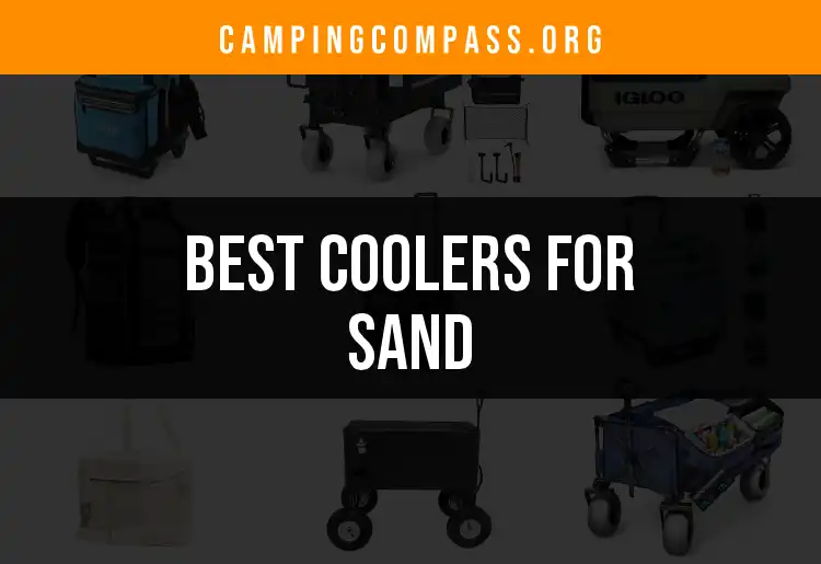 14 Coolers for Sand You’ll Want to Take on Your Next Adventure