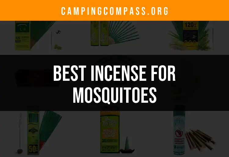 12 Best Incense for Mosquitoes to Keep Bugs at Bay