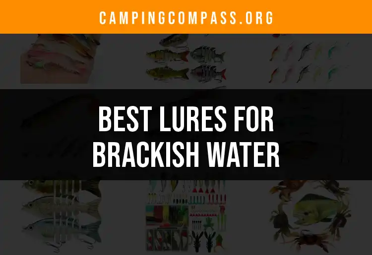 14 Must-Have Lures for Brackish Water Fishing featured
