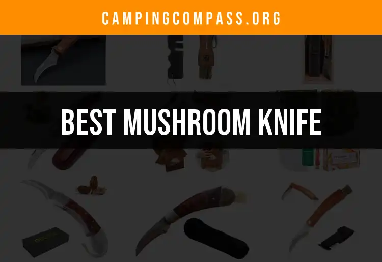 13 Essential Mushroom Knives for Outdoor Enthusiasts featured