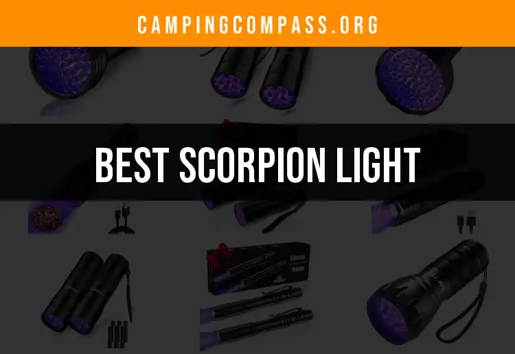 15 Scorpion Lights for Every Outdoor Adventure featured